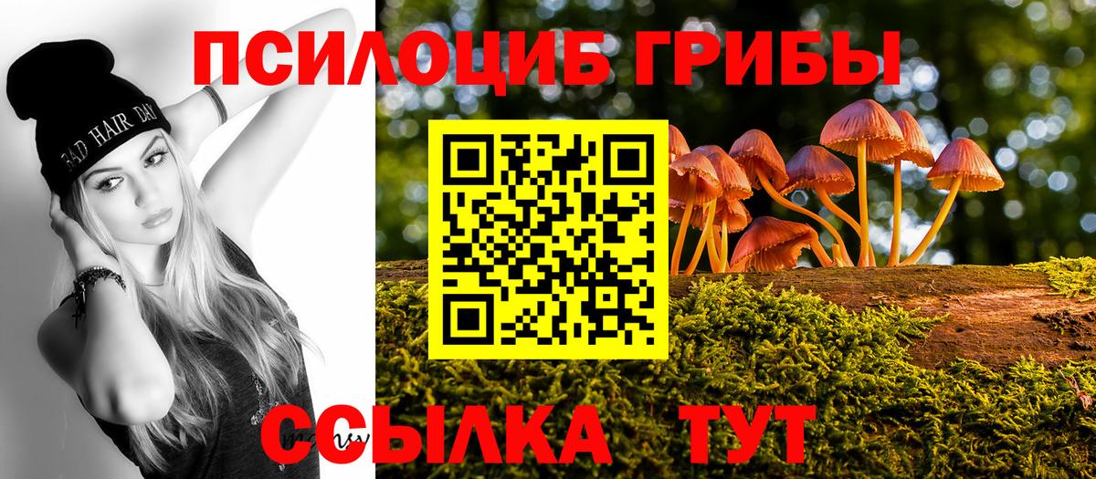 Галлюциногенные грибы Magic Shrooms  Вход с VPN  Тула 