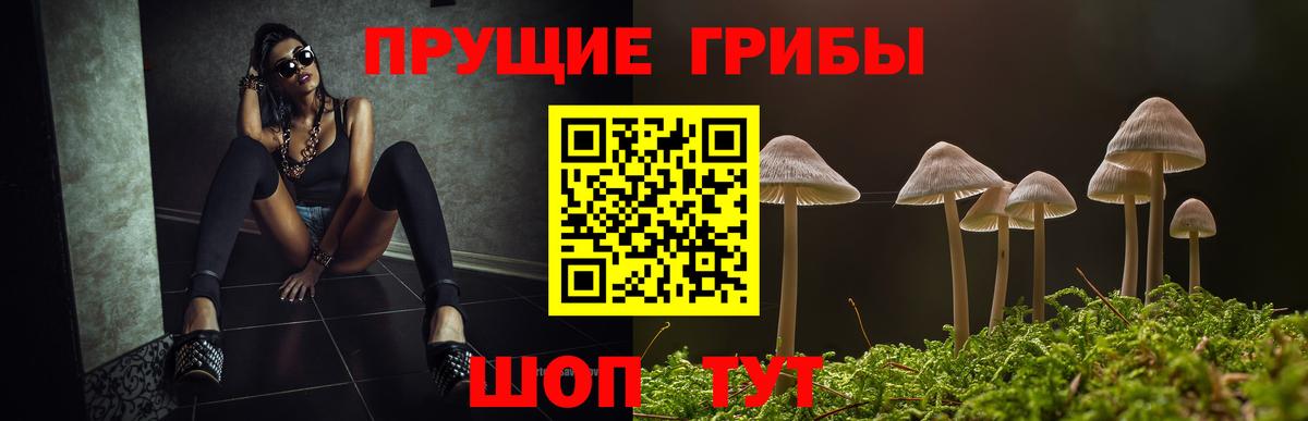 Галлюциногенные грибы GOLDEN TEACHER Тула